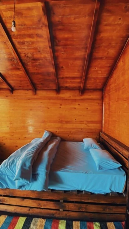 Shanty beach camp suer