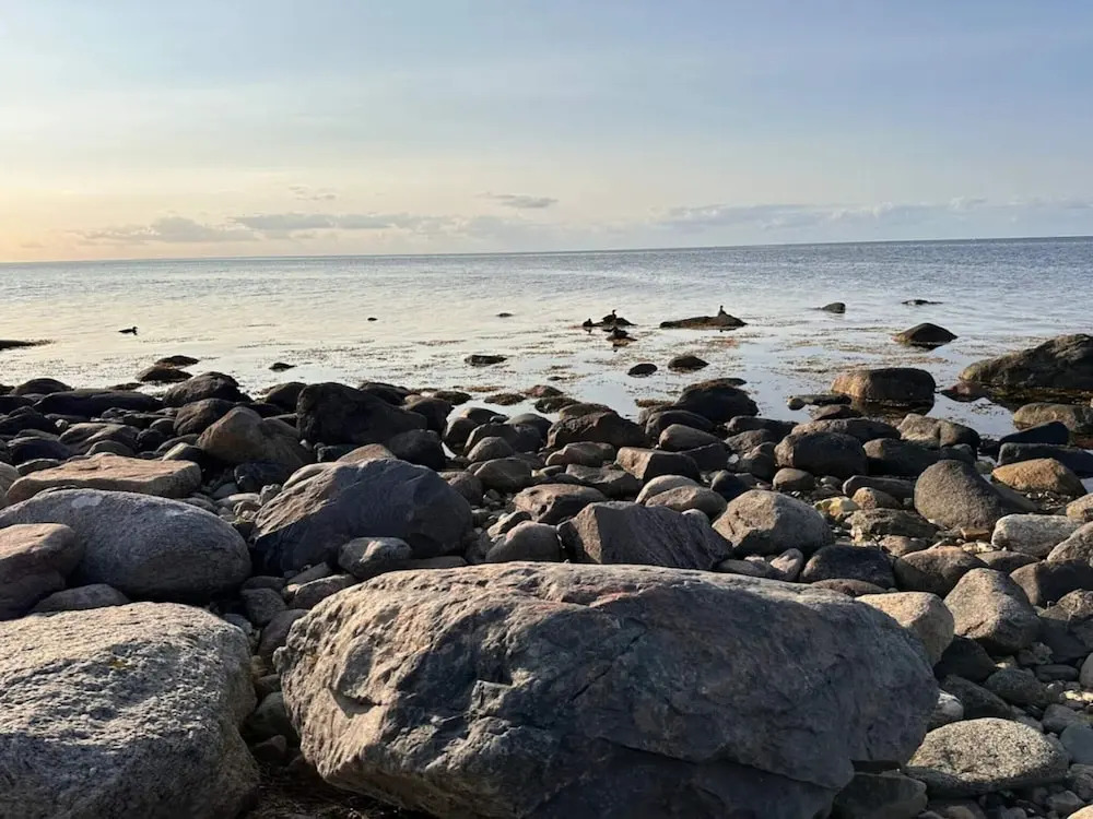 5 Person Holiday Home in Martofte