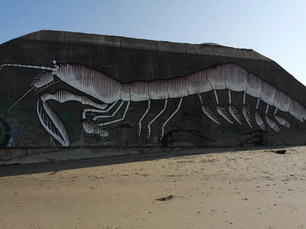 Ste Cécile Plage