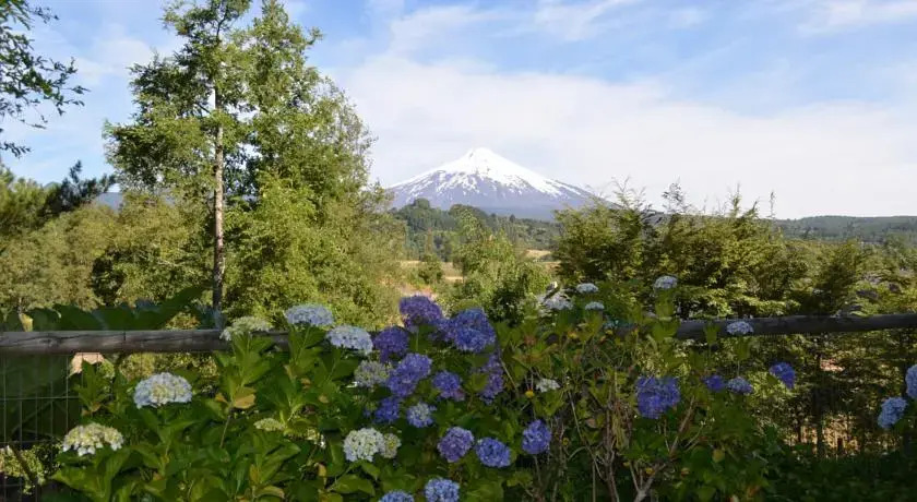 Bordelago, Pucon