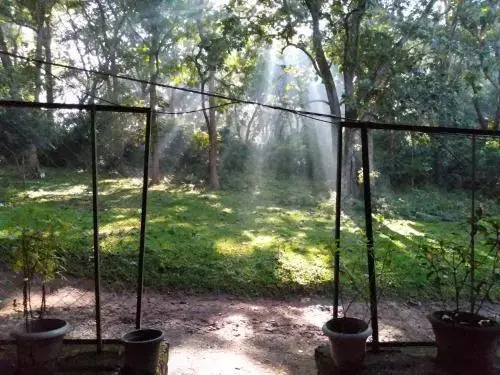 Wild Window - Forest View Homestay