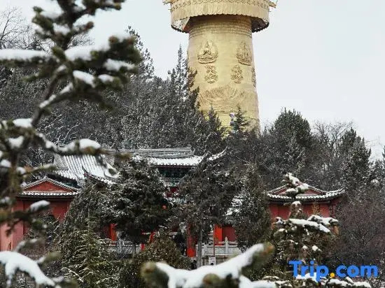 Shangri-La Yunshang oxygen supply light luxury homestay