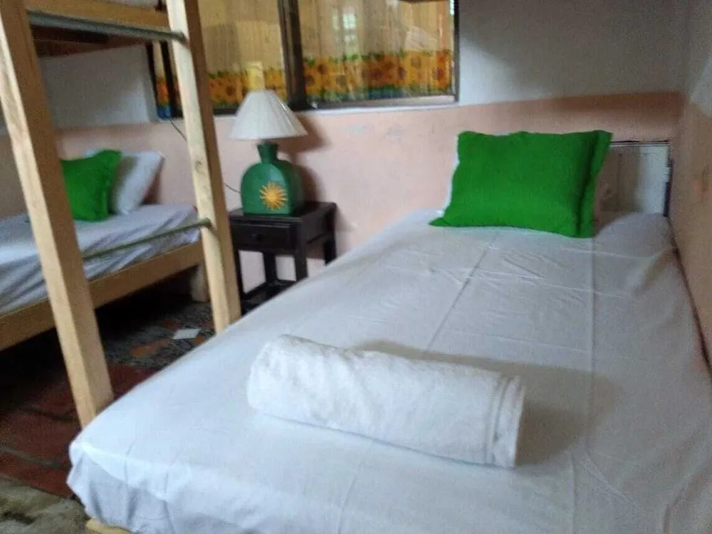 My Local Home Vallarta