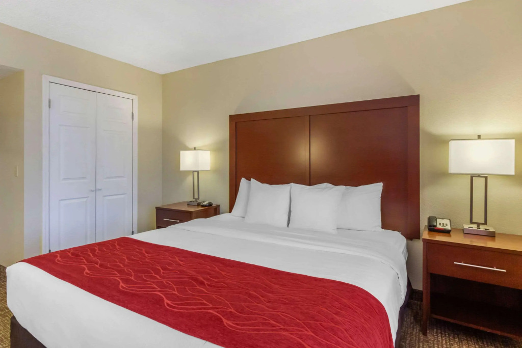 Comfort Inn St Petersburg North