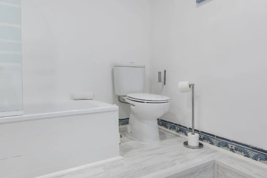 Traditional Duplex Apartments in Principe Real