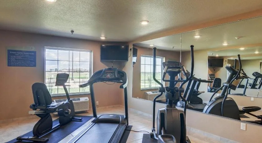 Cobblestone Inn & Suites - Altamont