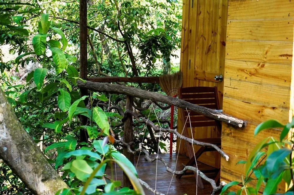 Giraffa Phu Quoc