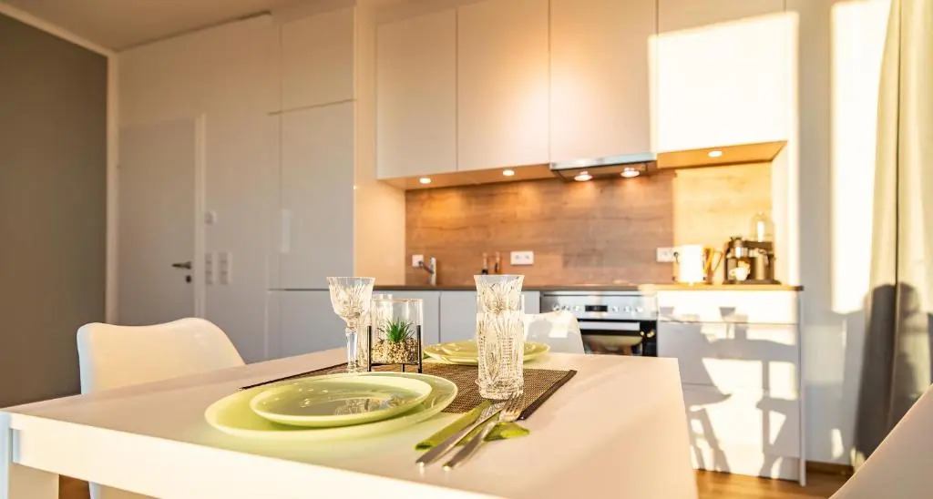 New Luxury apartment overlooking Vienna