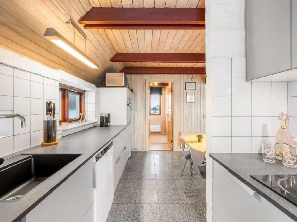 "Birke" - 50m from the sea in Western Jutland