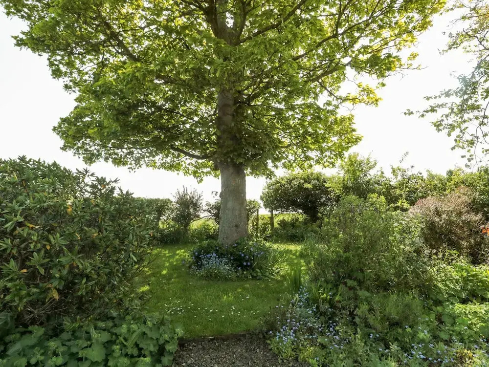 Orchard Lodge