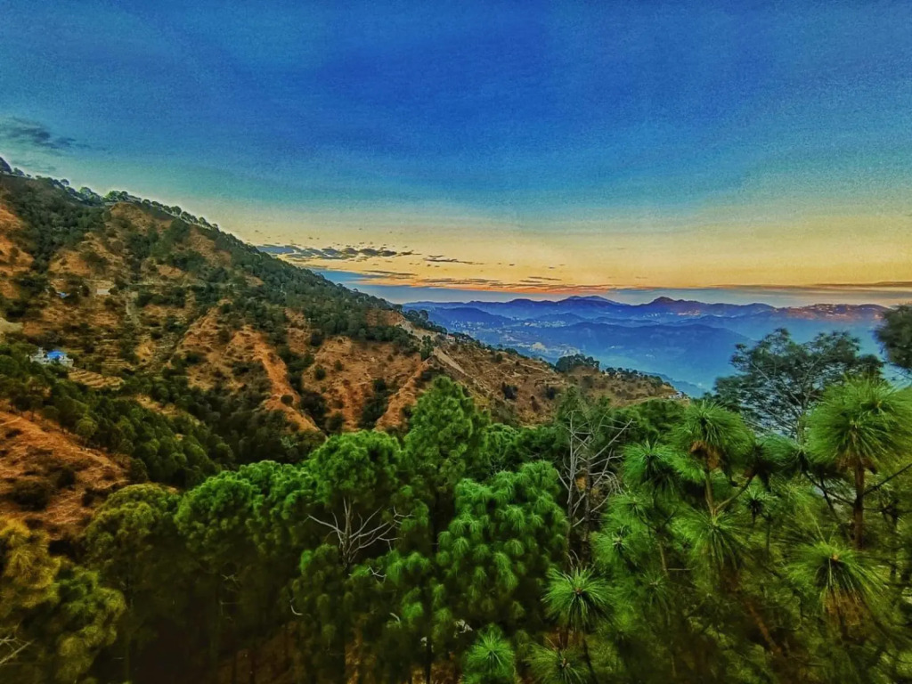The Lalitas Majestic Pines