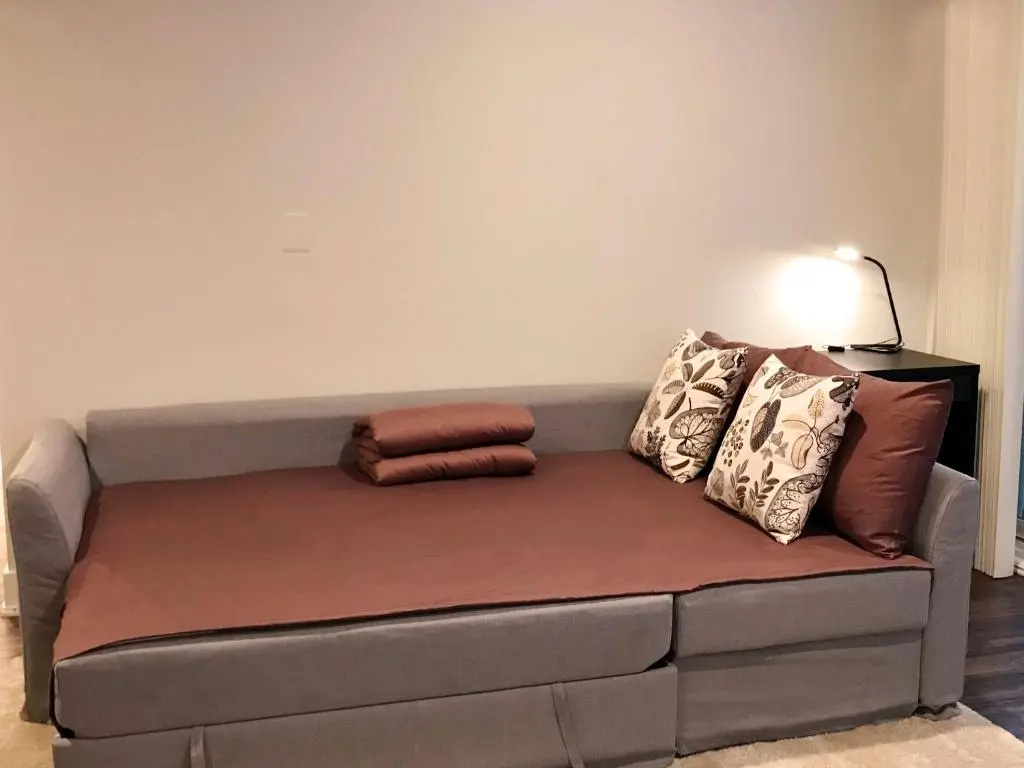 Spacious Entire Apt w Parking in Arts District DTLA B5