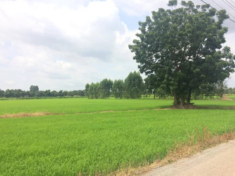 Tai Baan Resort