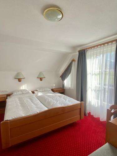 Appartements Wieseneck - Ferienwohnungen mit Bergblick - inklusive Schladming Dachstein Card
