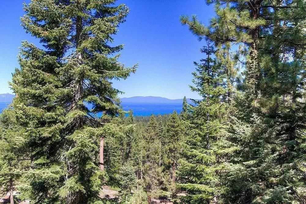 Hch1239 - Heavenly Tree House 4 Bedroom Home
