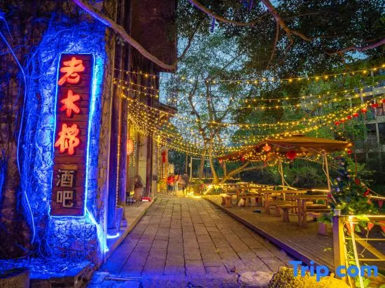 Guangyue Shang Collection