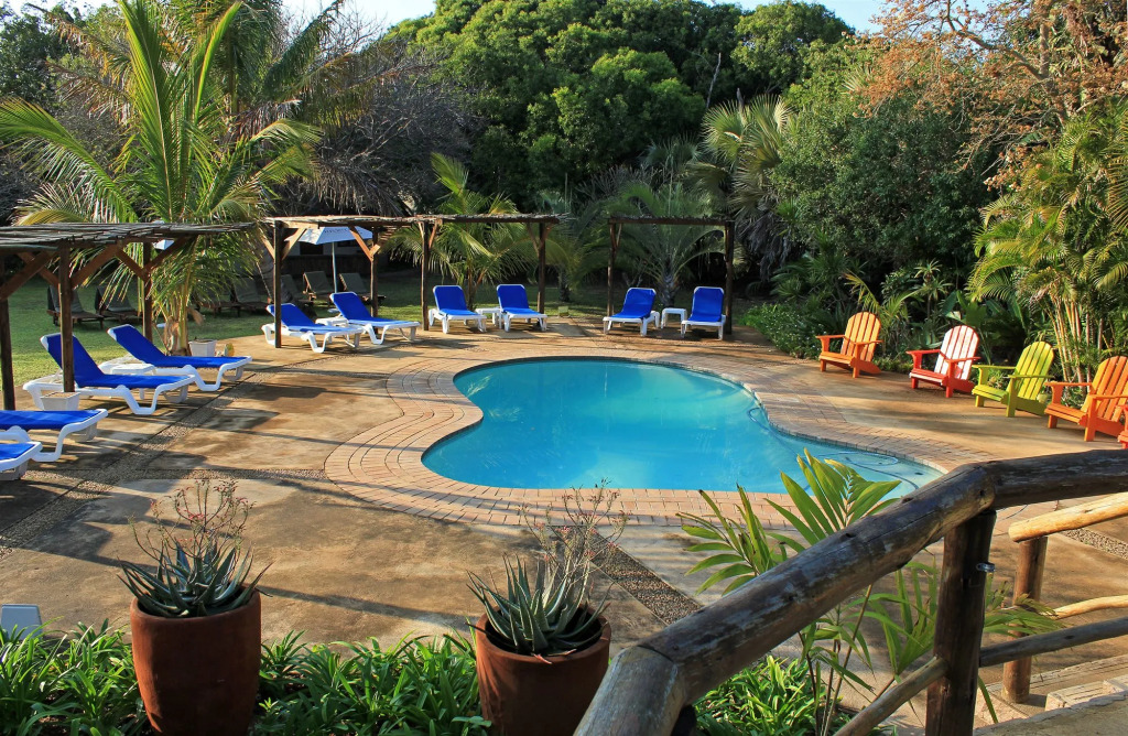 Emdoneni Lodge with Zululand Cat Conservation Project