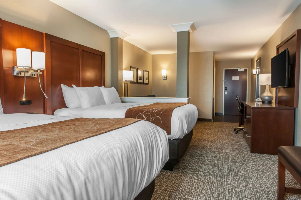 Comfort Suites Rensselaer near Fair Oaks