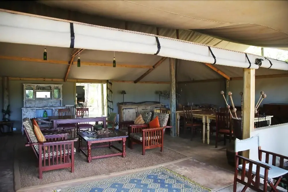 Miombo Safari