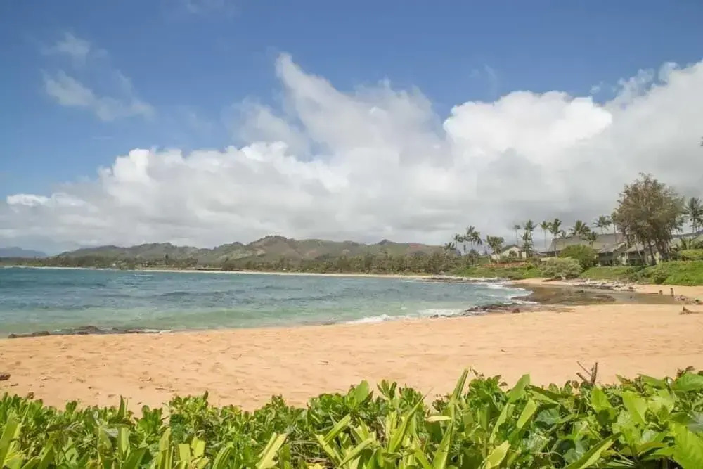 Lae Nani 333, Oceanview, Renovated And Gated 1 Bedroom Condo by RedAwning