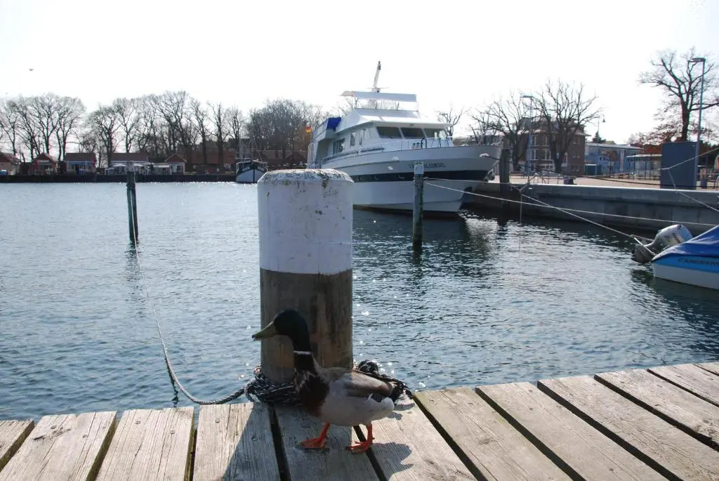 Appartement Werft & Meer