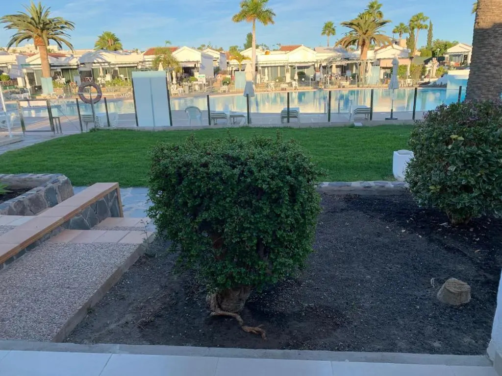 Maspalomas Lago 25