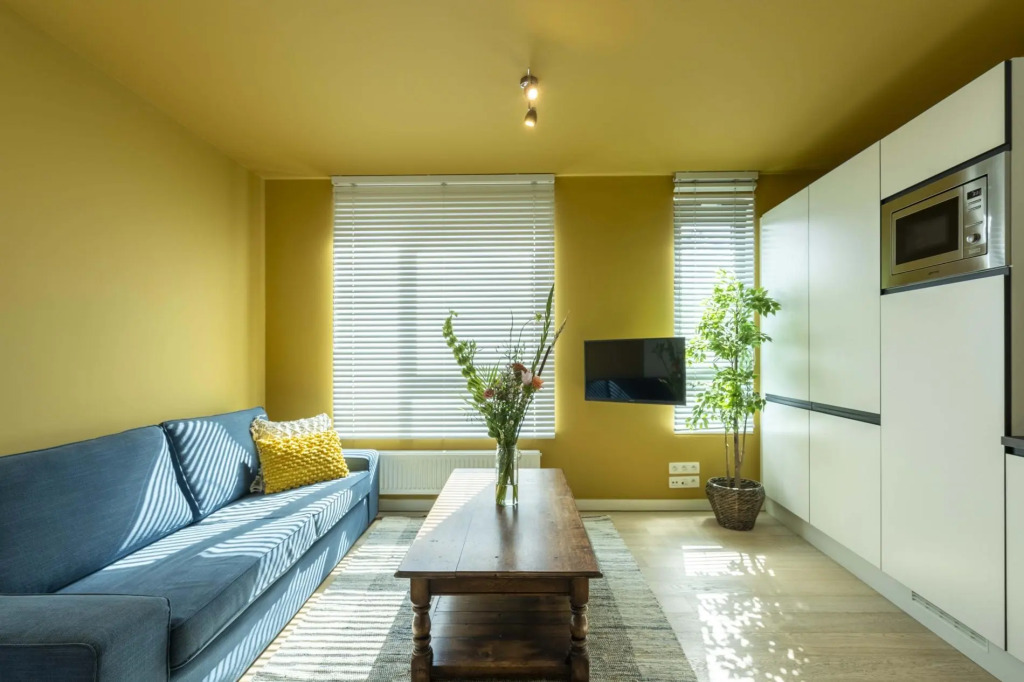 The India Yellow Studio