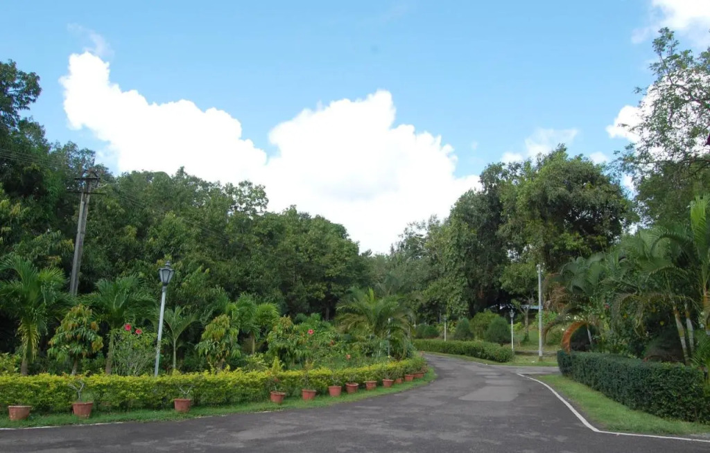 Megapode Resort -Port Blair