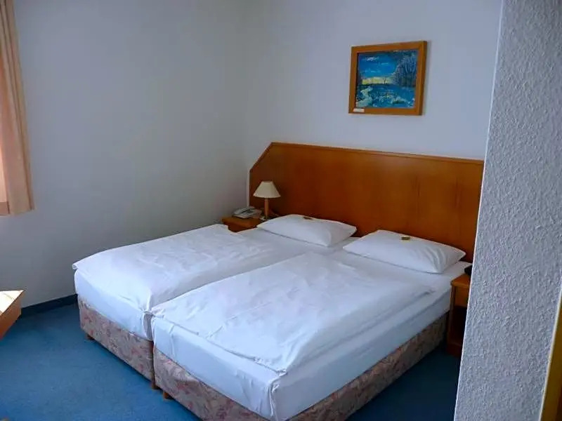 Hotel Mecklenburger Mühle Garni