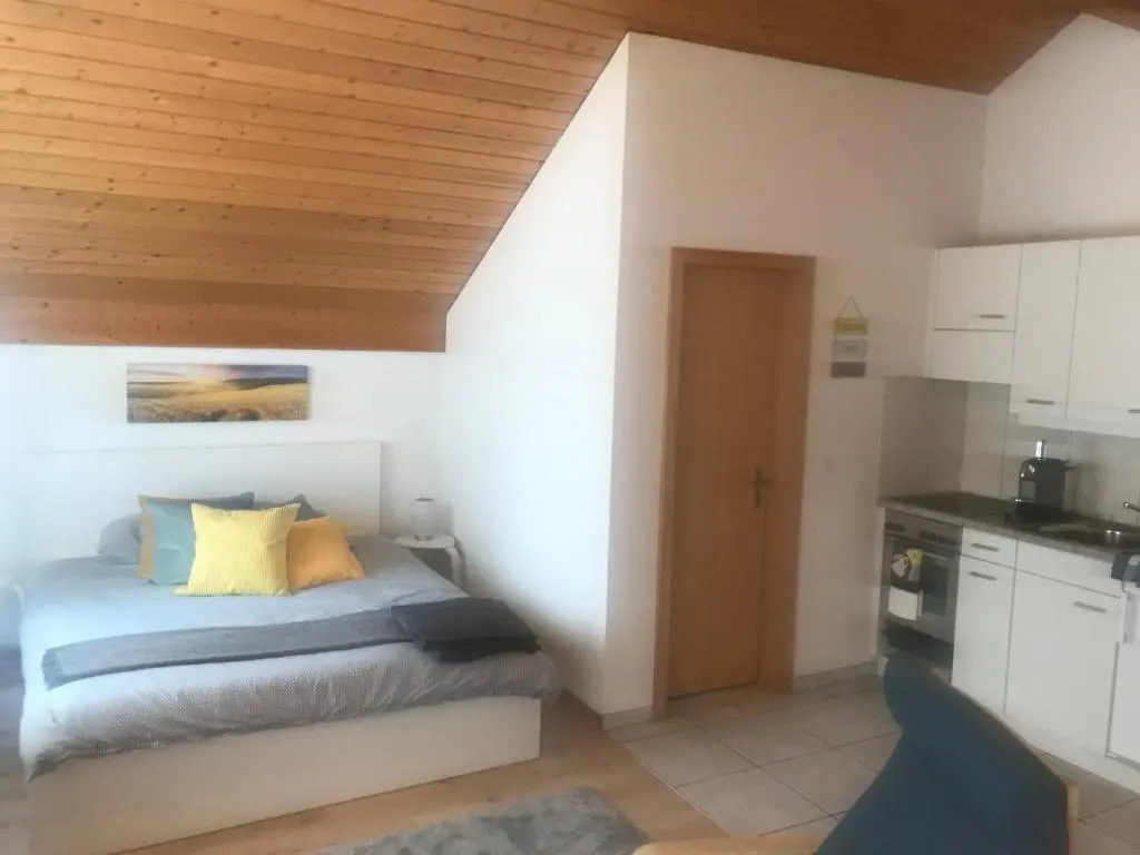 Studio Central Grindelwald