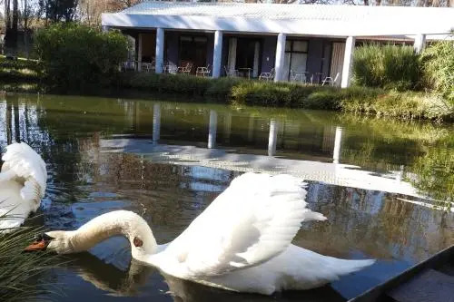 Willow Place Guest House