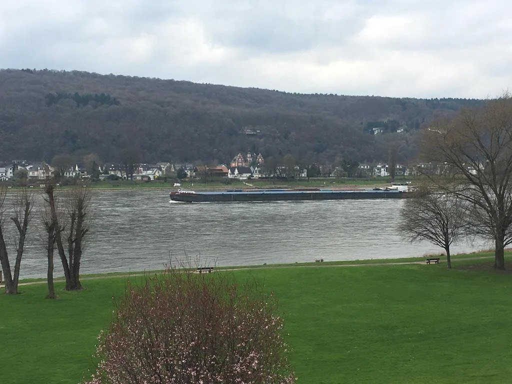 Zur Rheinschanz