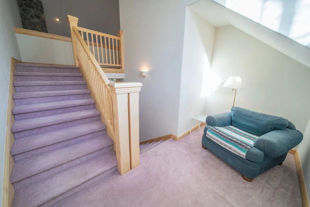 Ironwood 2993