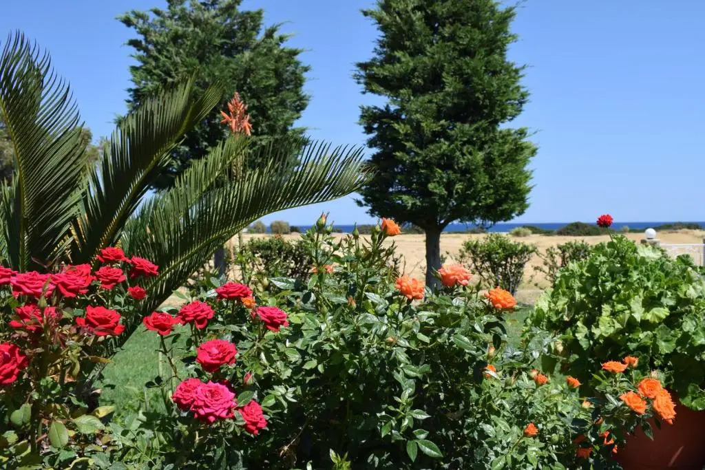 Aelia Sea View Bungalow
