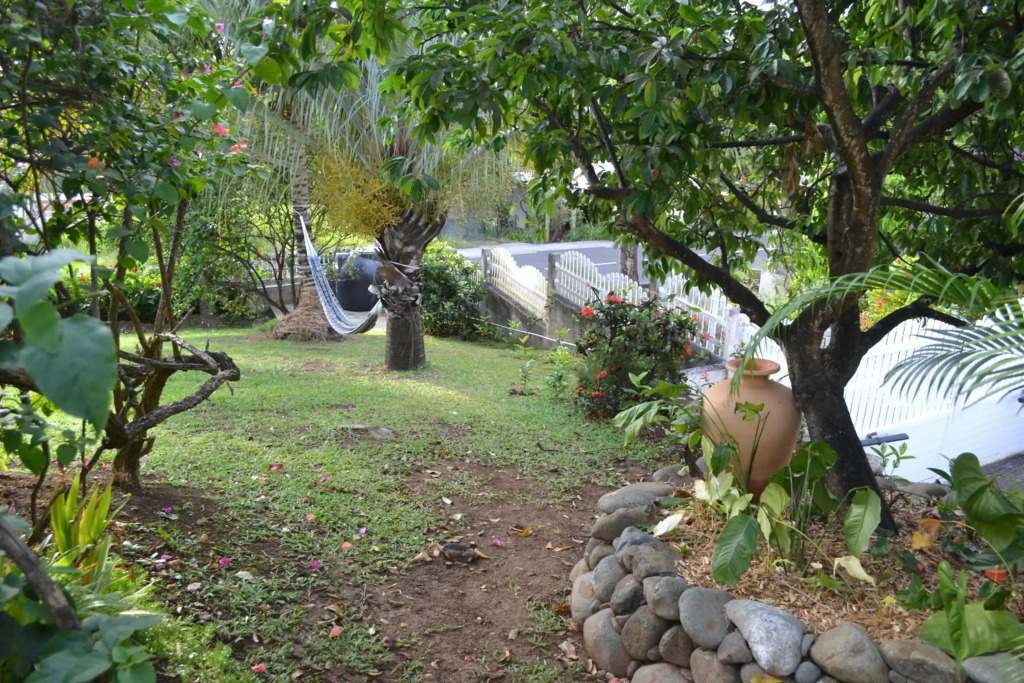 La Nicotoria HAUT DE VILLA T4