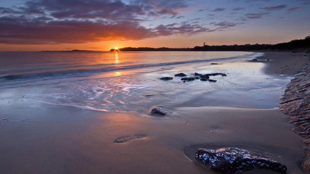 Kohimarama Beach Bed & Breakfast
