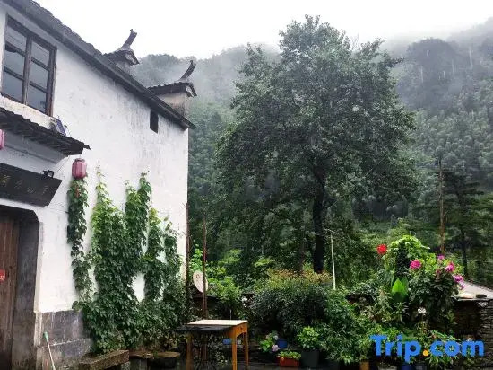 Wuyuan Yunshang Zhangshan Homestay