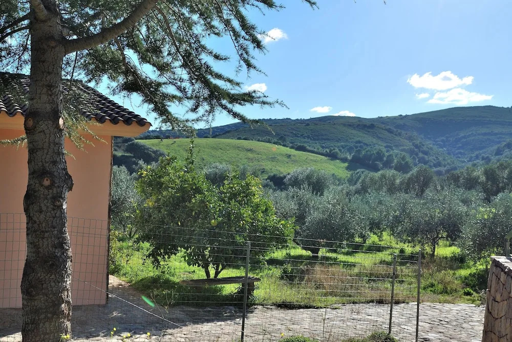 Schifoni House