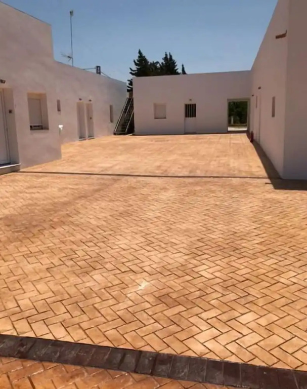 El Pinar