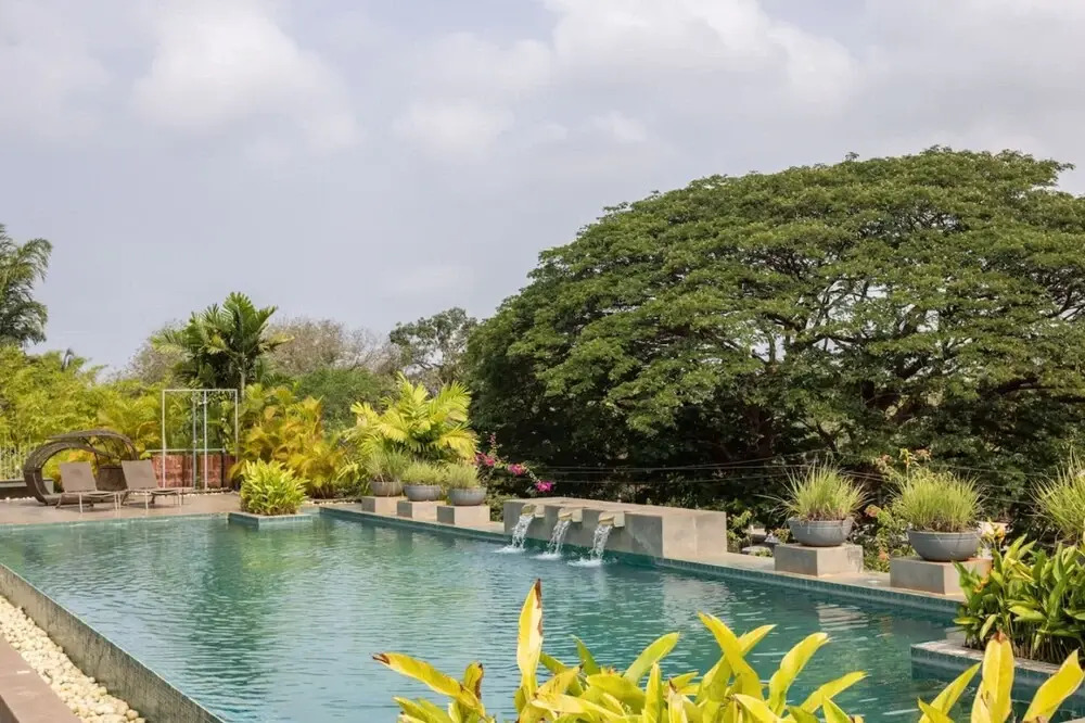 El Arbol - 306 in Nerul