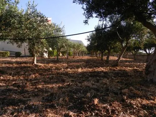 Il Villino