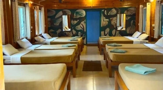 Jungle Lodges And Resorts- Sakrebyle Elephant Camp