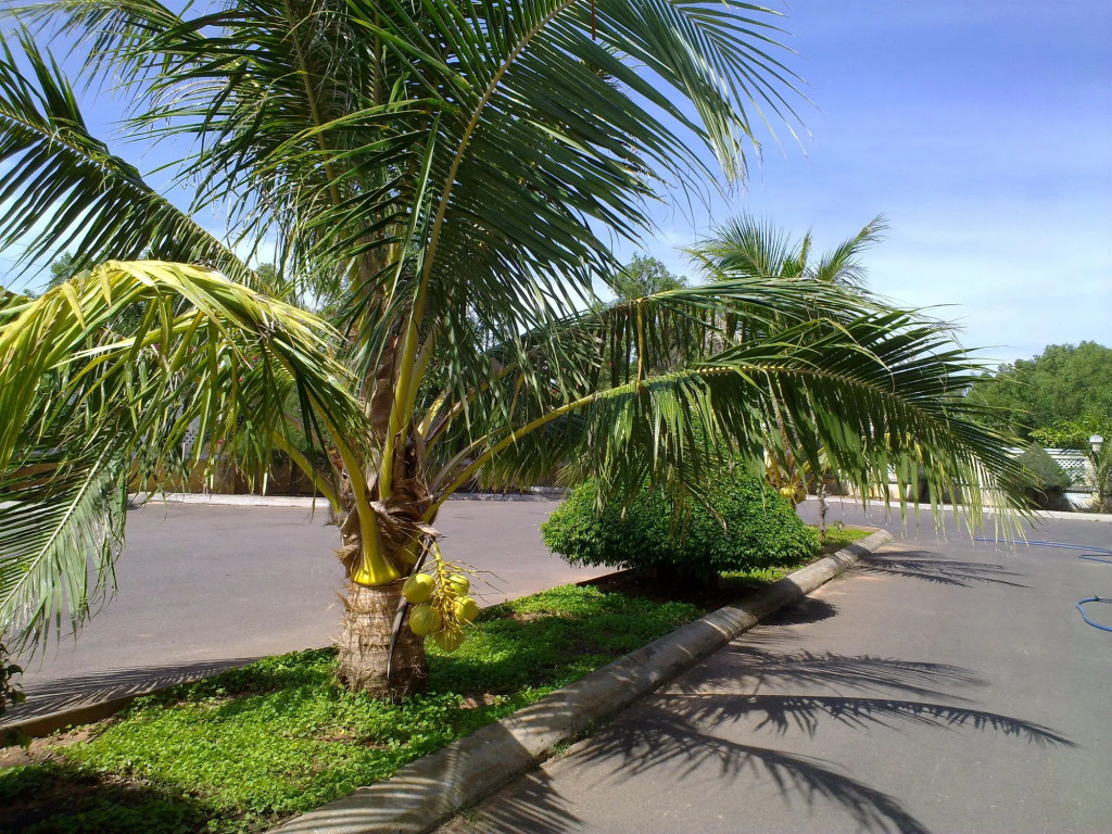 Mui Ne Village Resort