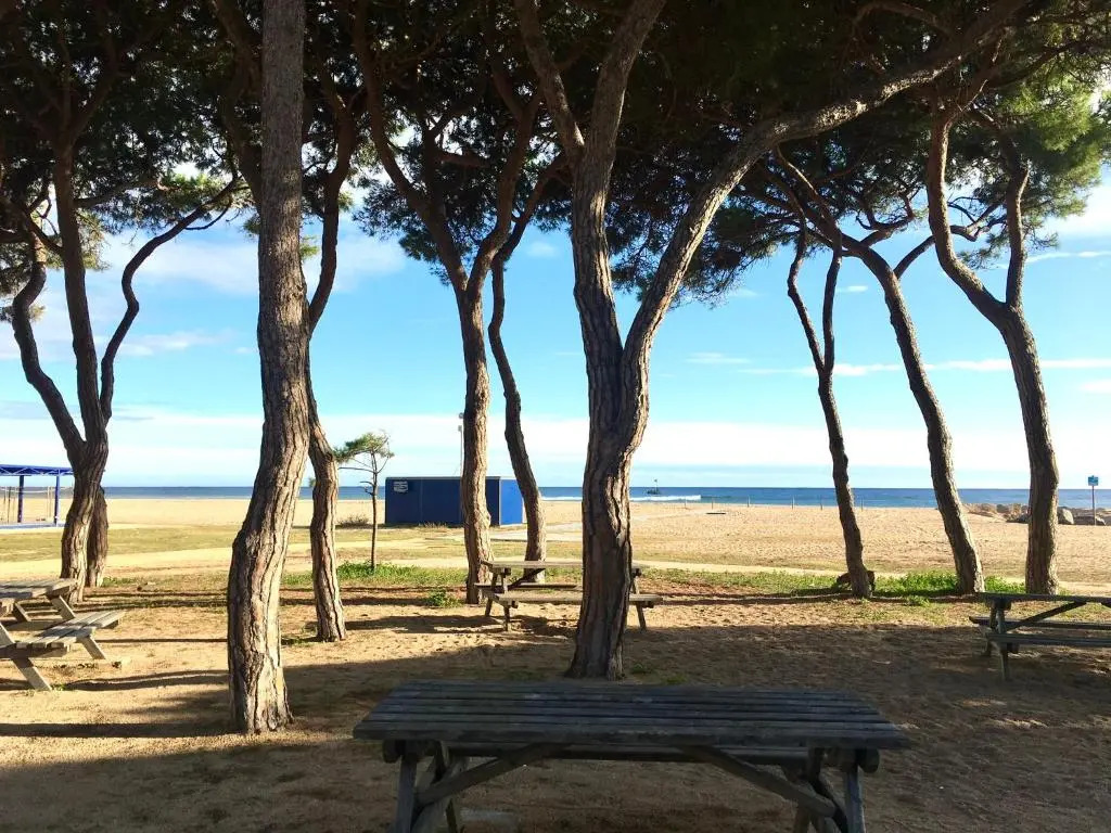 Sunshine apartment with great sea view and terrace in Malgrat de Mar