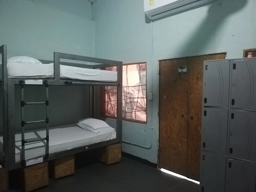 Tree House Hostel