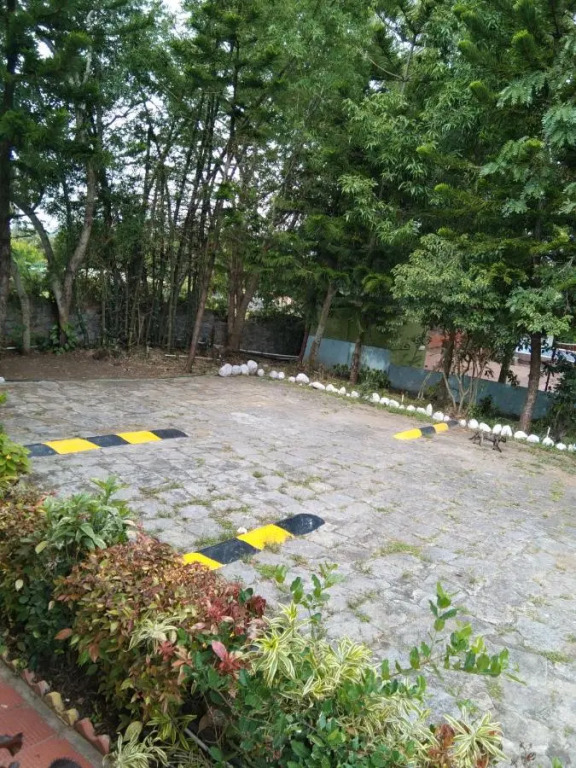 The Tiger Paw Resort