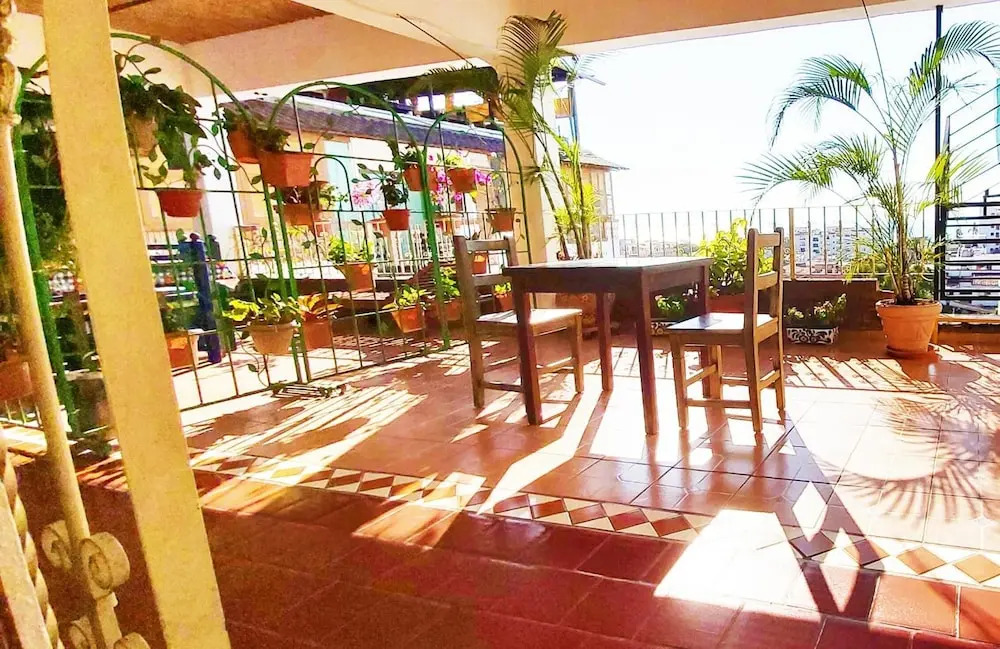 Paloma del Mar