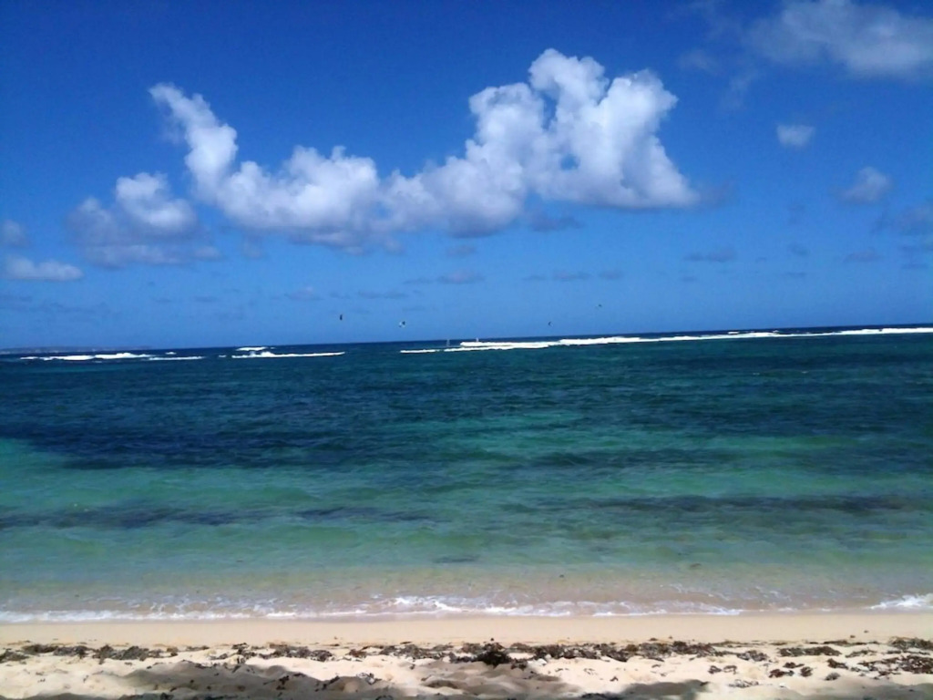 Appartement d'une chambre a Le Moule a 30 m de la plage avec vue sur la mer jardin clos et wifi