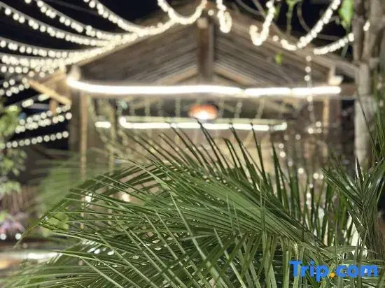 Tingting Inn