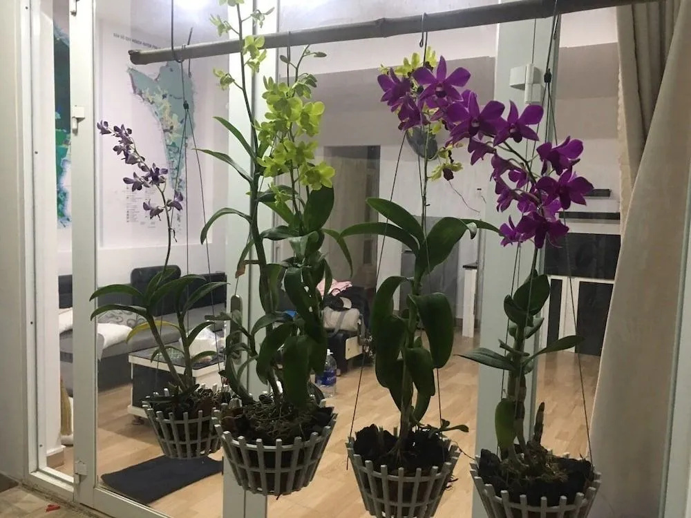 Hoang Bao Vy Guesthouse